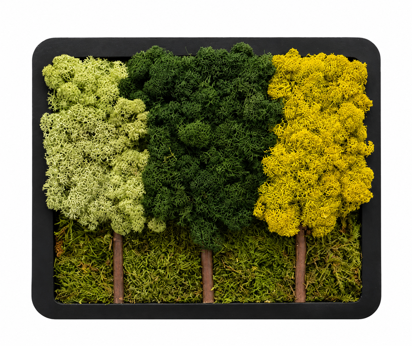Aspen Grove Collection