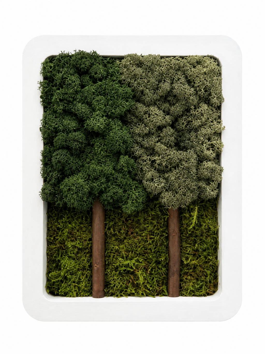 Aspen Grove Collection