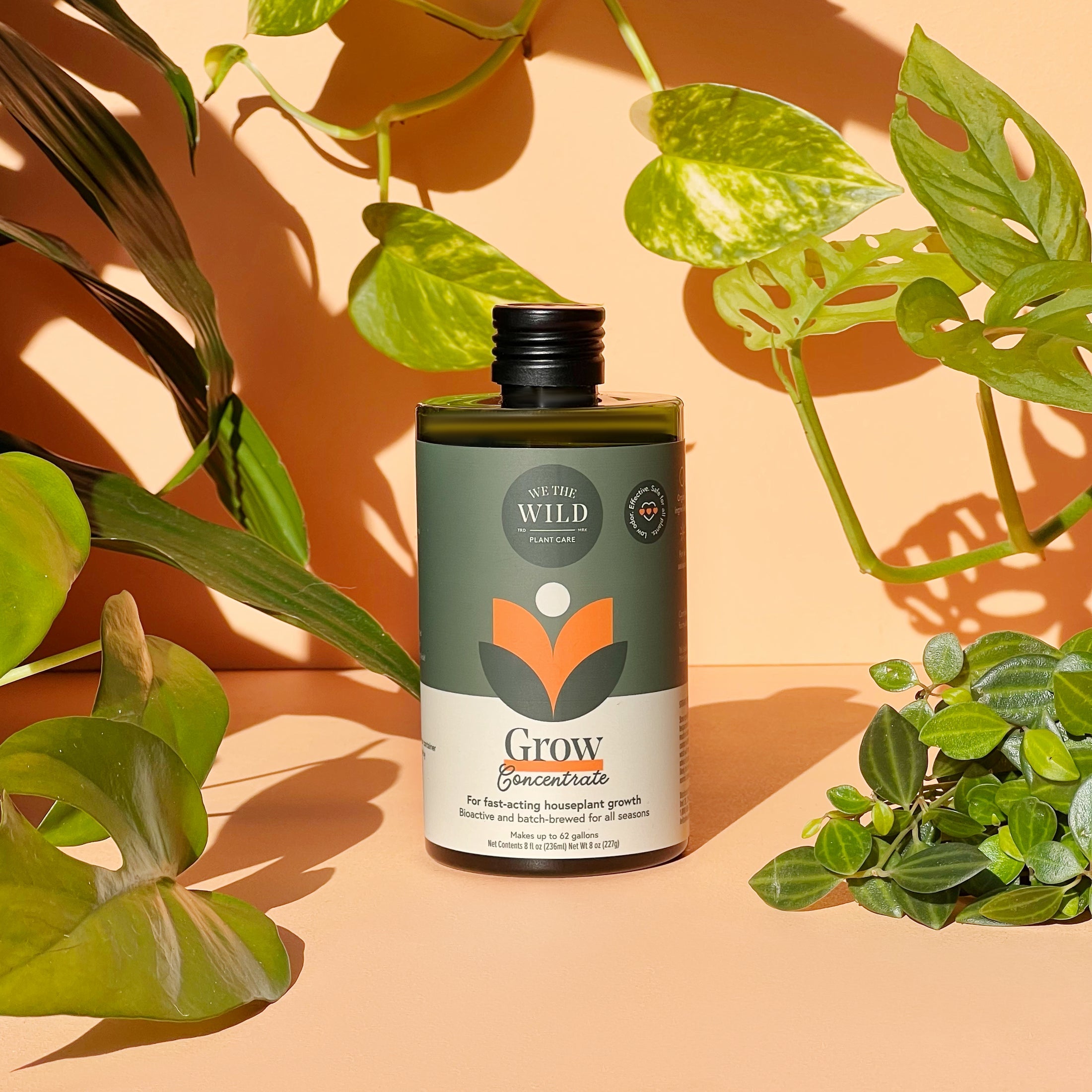 We The Wild "Proud Plant Parent Kit"