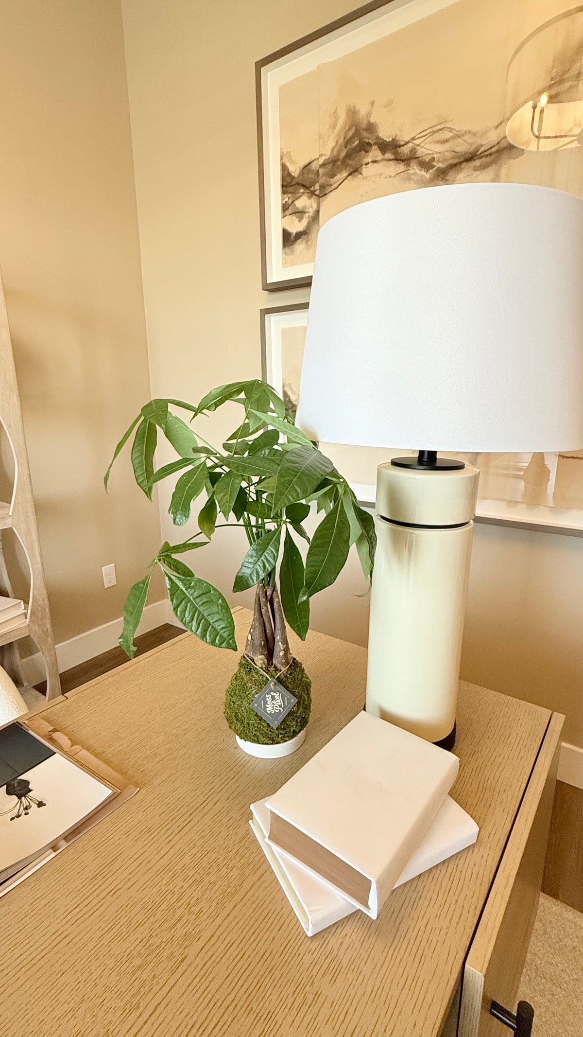 Money Tree