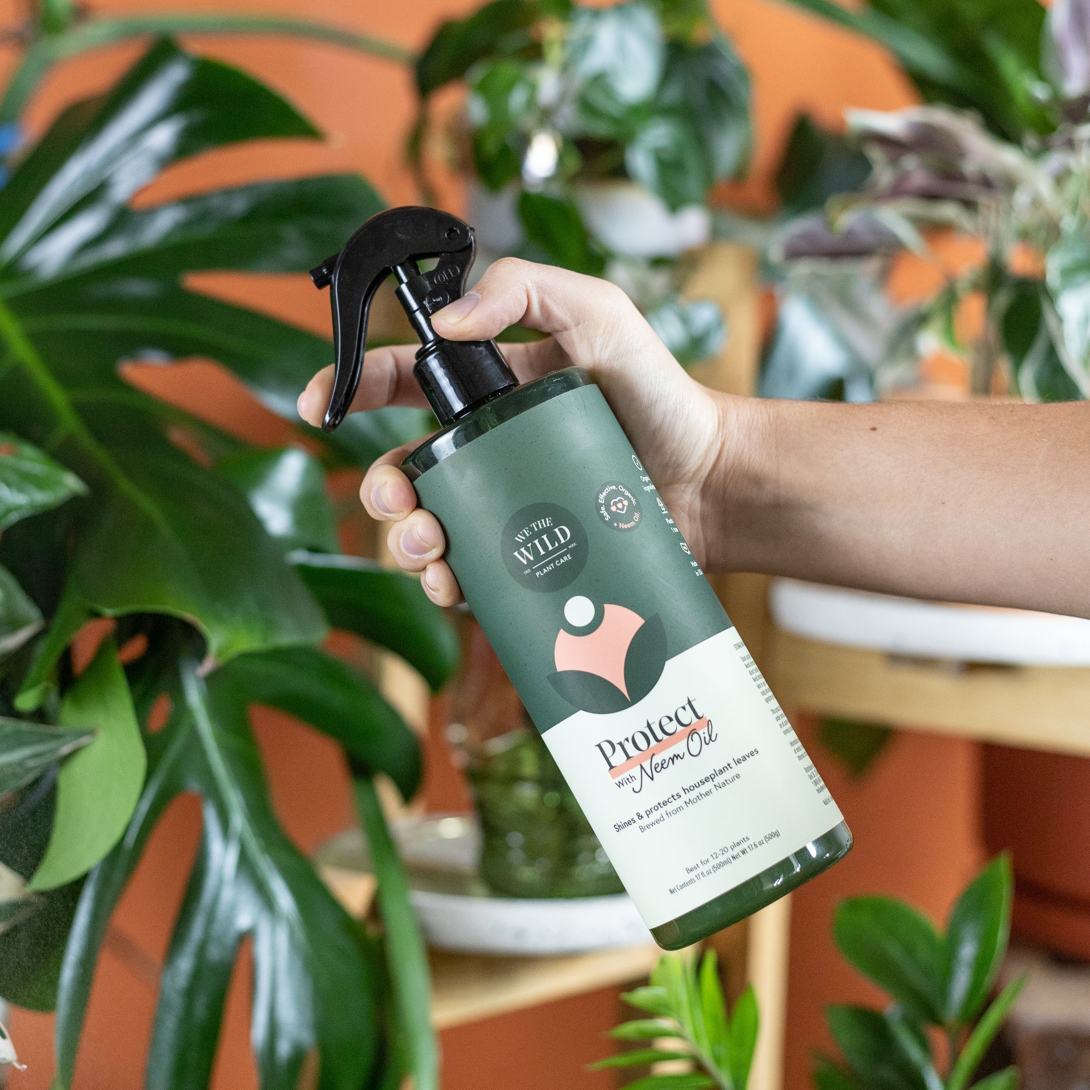 We The Wild "Protect Spray with Neem Oil" (17 fl oz)