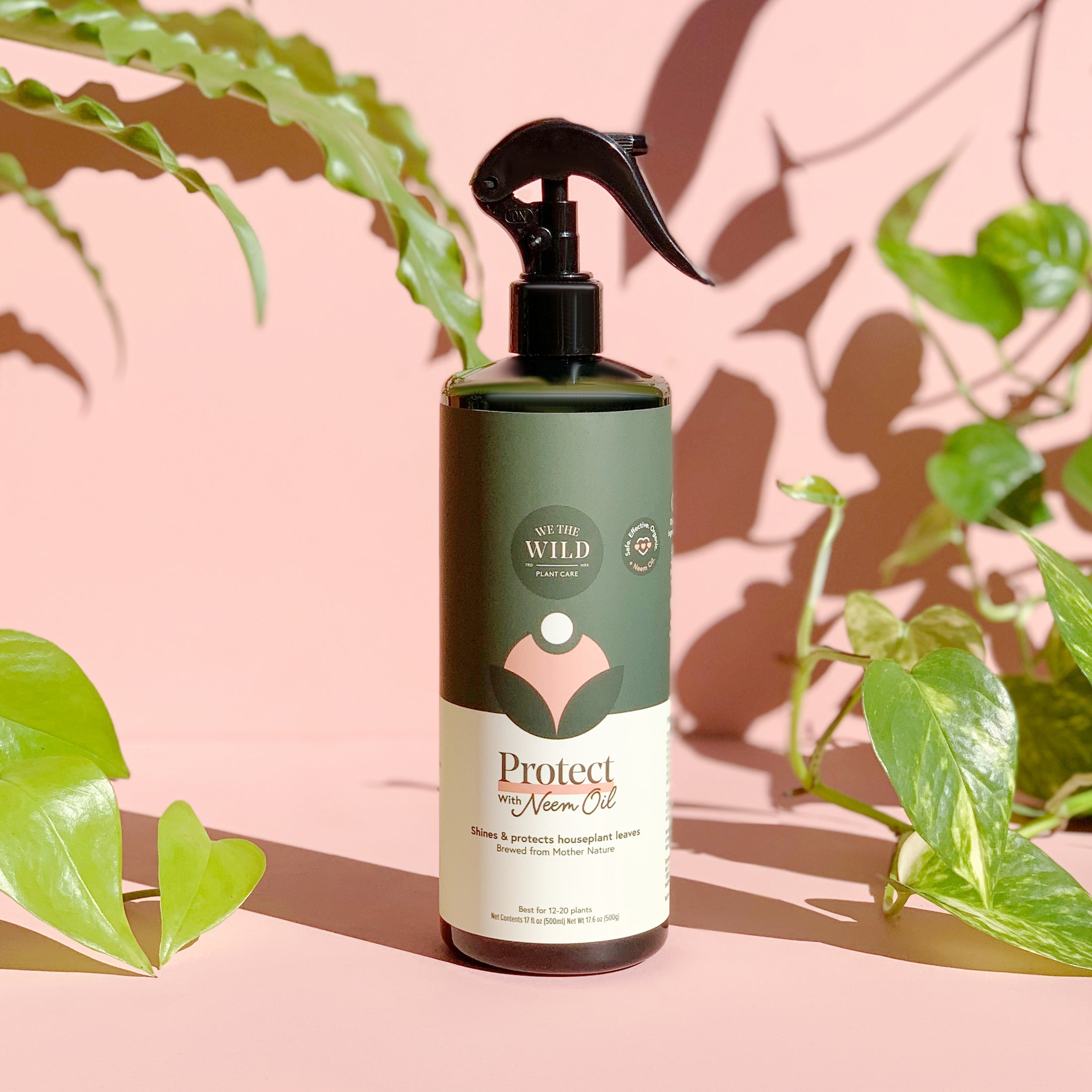 We The Wild "Leaf Care Duo Kit"